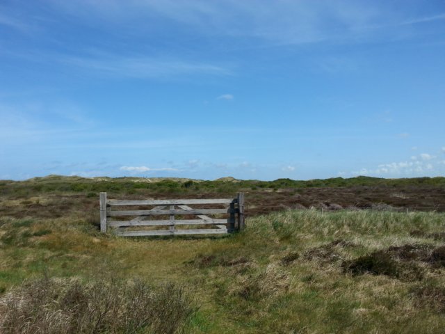HWK Texel 156.jpg